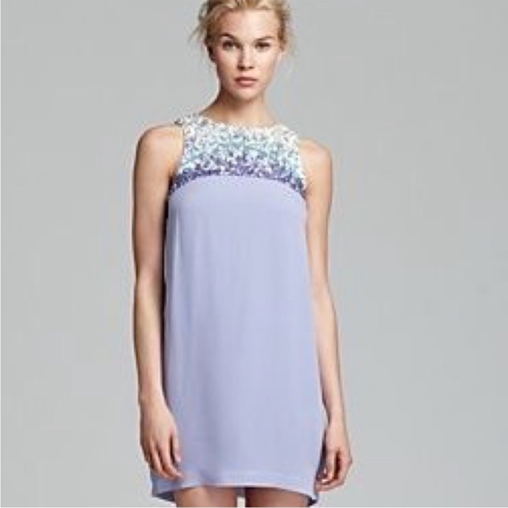 French connection lavender sequin top dress.